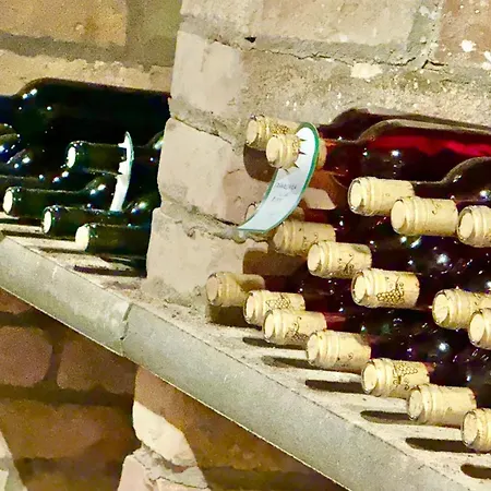 Vinny Sklep Monty Pritluky Pritluky