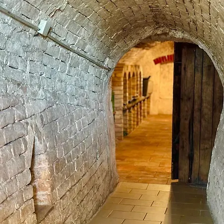 Vinny Sklep Monty Pritluky