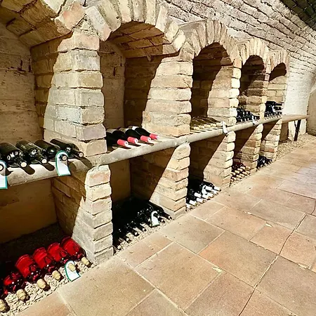 Holiday home Vinny Sklep Monty Pritluky