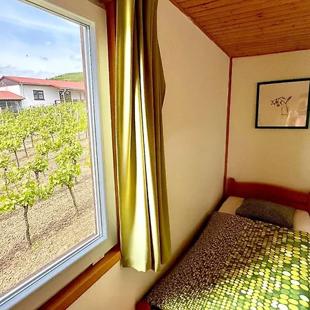 Vinny Sklep Monty Pritluky